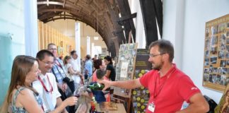 Winnice Przeworskie Elżbiety i Dariusza Rosół 0e055015385980da4e111a90c5284edc