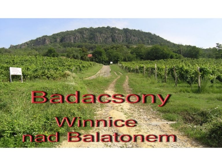 Winnice nad Balatonem