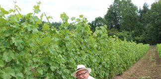 Winnica Korol 4653e069ed7369840191e8bf38ab8dc9