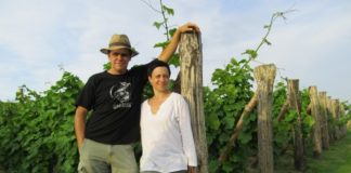 Winnica Gorło da89514e409822180ac867ab6712269d