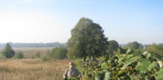 Winnica Nouplisówka e0b863f873638efa81a0f8773b39882d