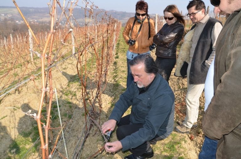 Podkarpackie szkolenia dla winiarzy