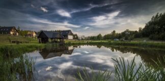 Winnica Mitumi Winnica Mitumi