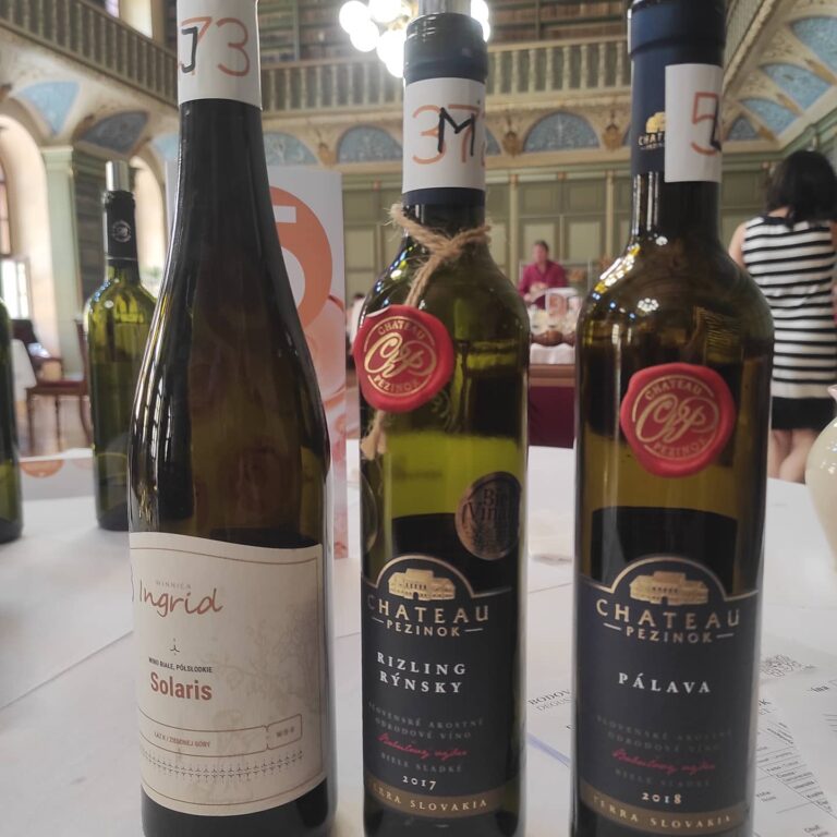 Solaris z Winnicy Ingrid najwyżej ocenionym winem na MUVINA 2021. Otrzymał 93,33 pkt!