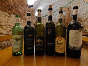 355482349 6579231012143911 8630207054998880008 n