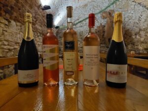 356227553 6579248965475449 2733999531640094370 n