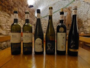 356398401 6579220892144923 6116377031840939550 n